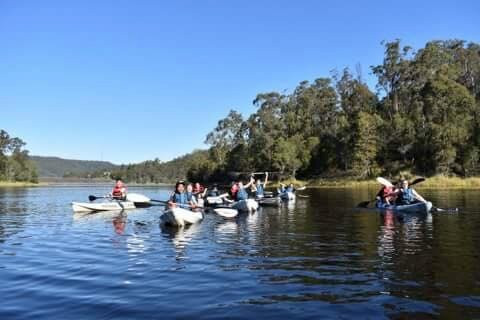 Walkabout Creek Adventures-布里斯班必去景点
