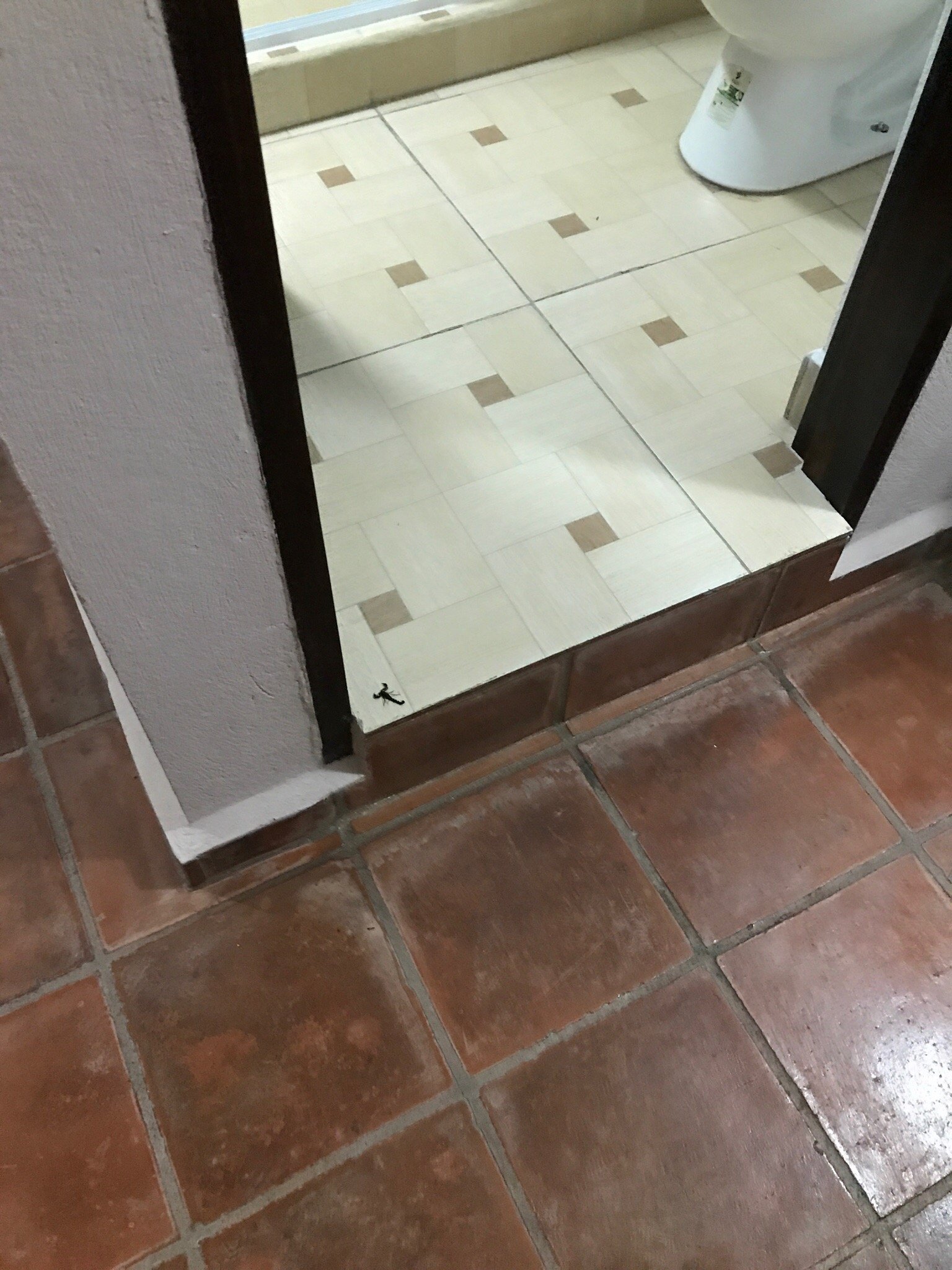 Capital O Hotel Rincon Sonado-官方