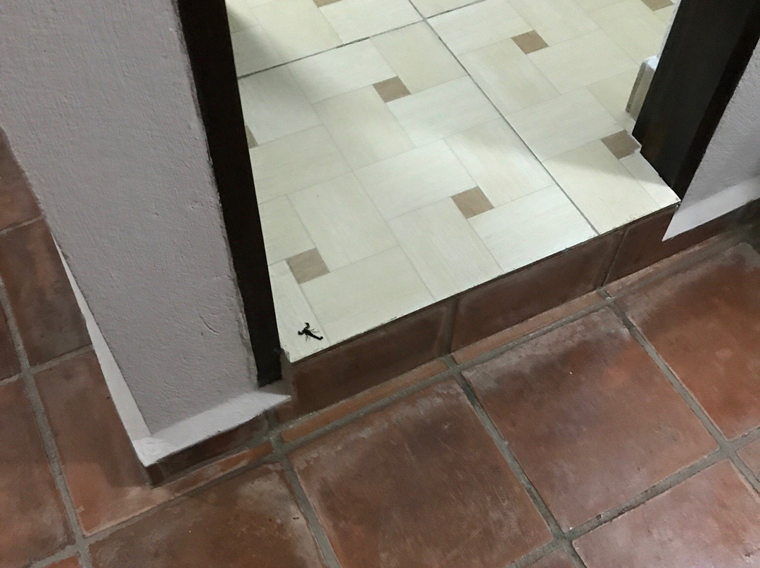 Capital O Hotel Rincon Sonado主图