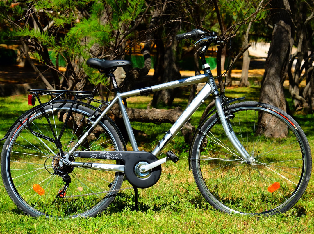 Xtreme Sport & Co - Bike and Scooter Rentals-阿尔盖罗必去景点