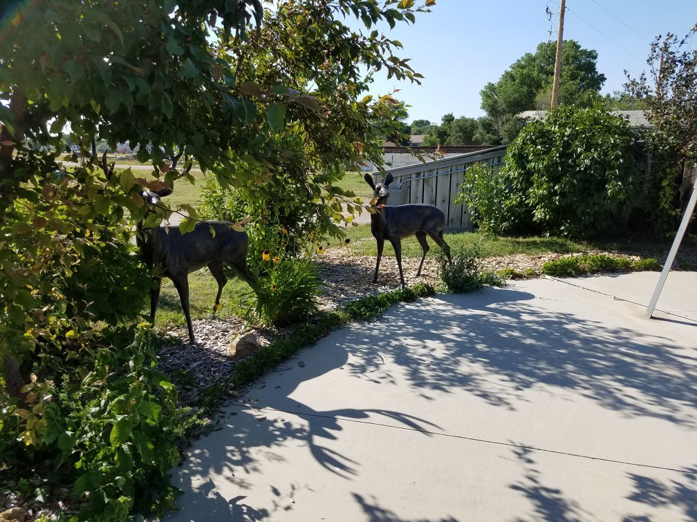 Centennial Park-Buffalo必去景点
