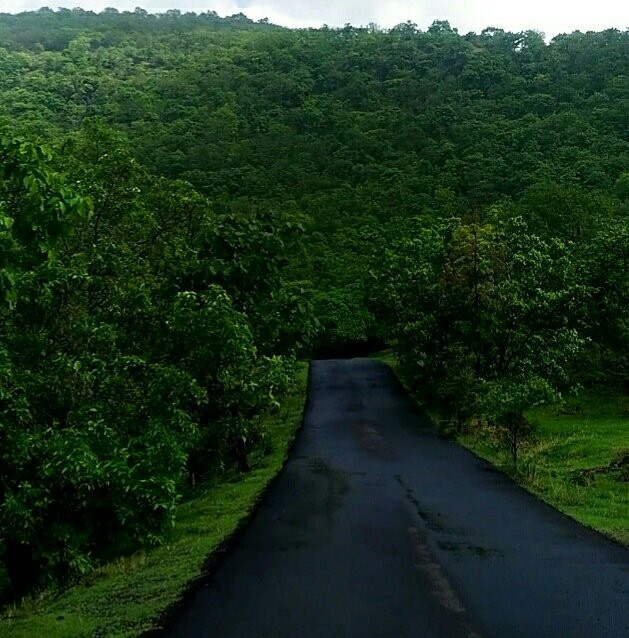 Gautala Autramghat Sanctuary景点图片