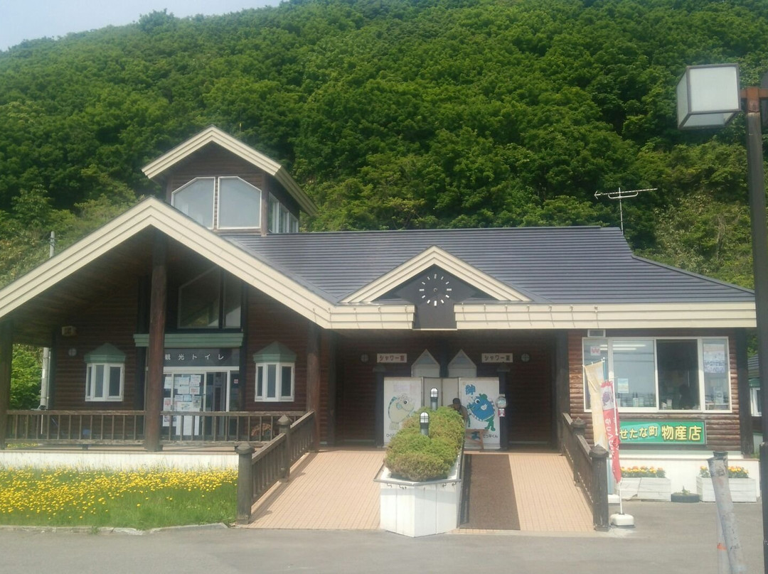 Tekkui Land Taisei Michi-no-Eki-濑棚町必去景点