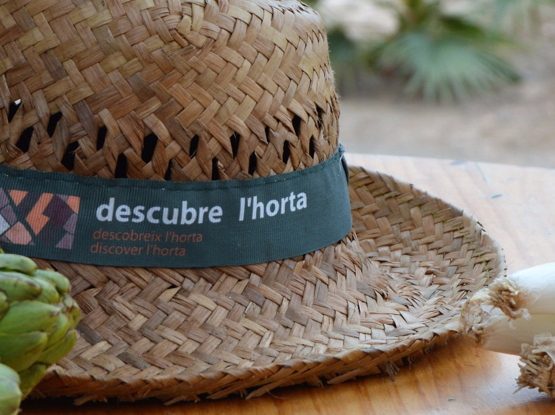 Discover l'Horta-巴伦西亚必去景点