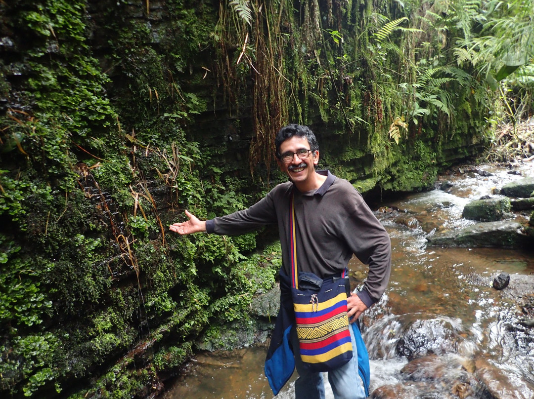 Colombia Rico Tours景点图片