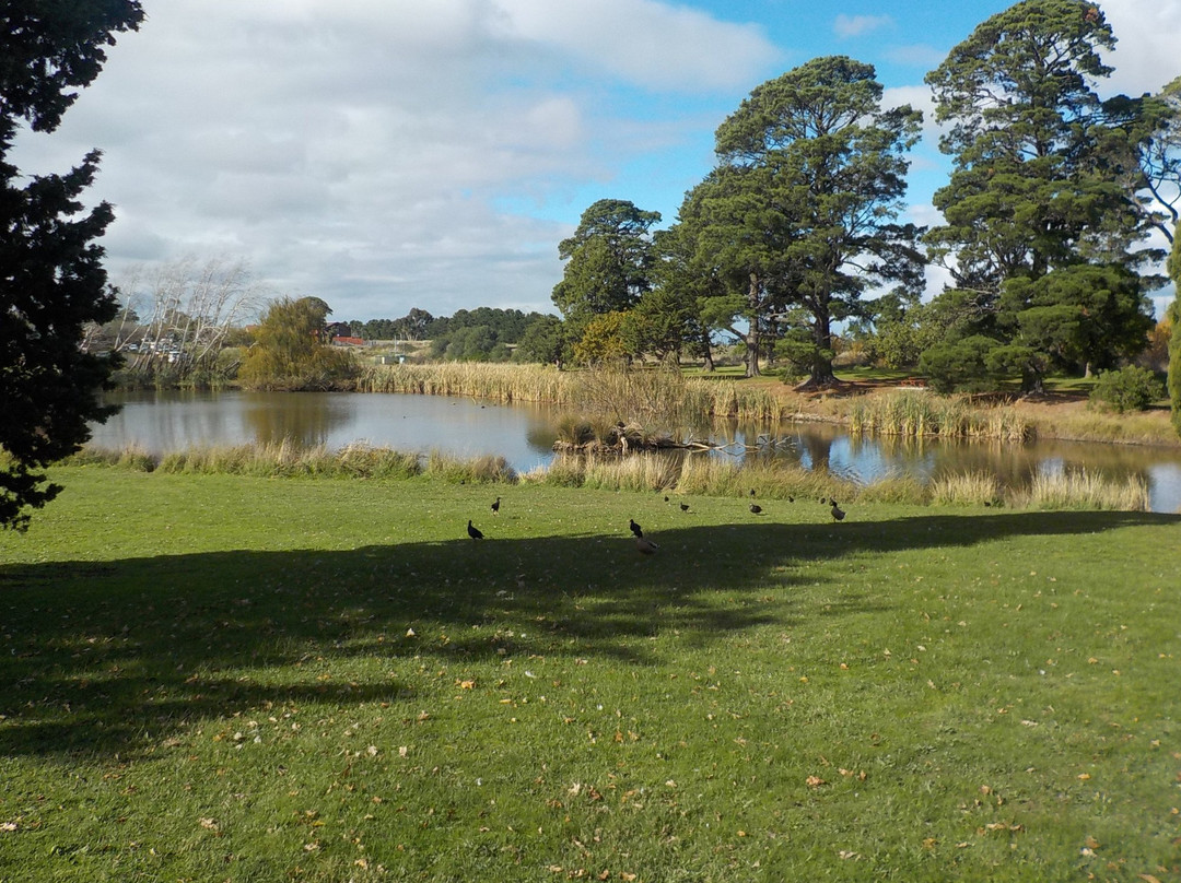 Riddells Creek旅游攻略图片