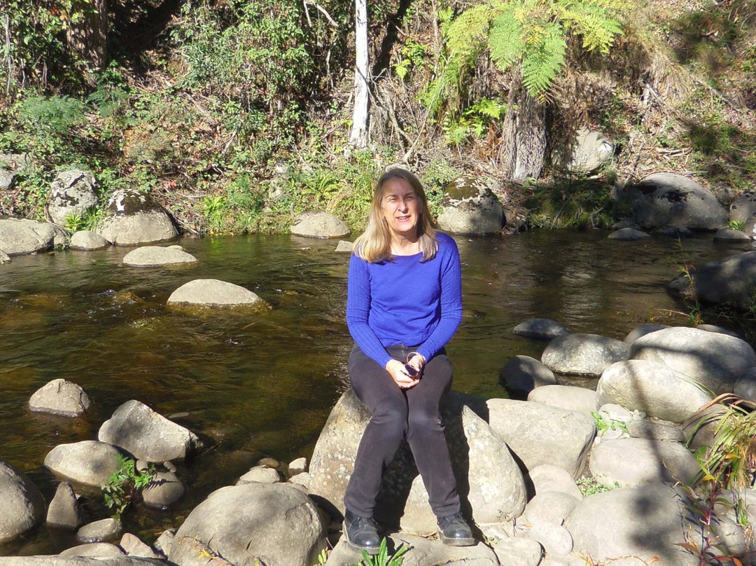 Rubicon Valley Historic Area-Thornton必去景点