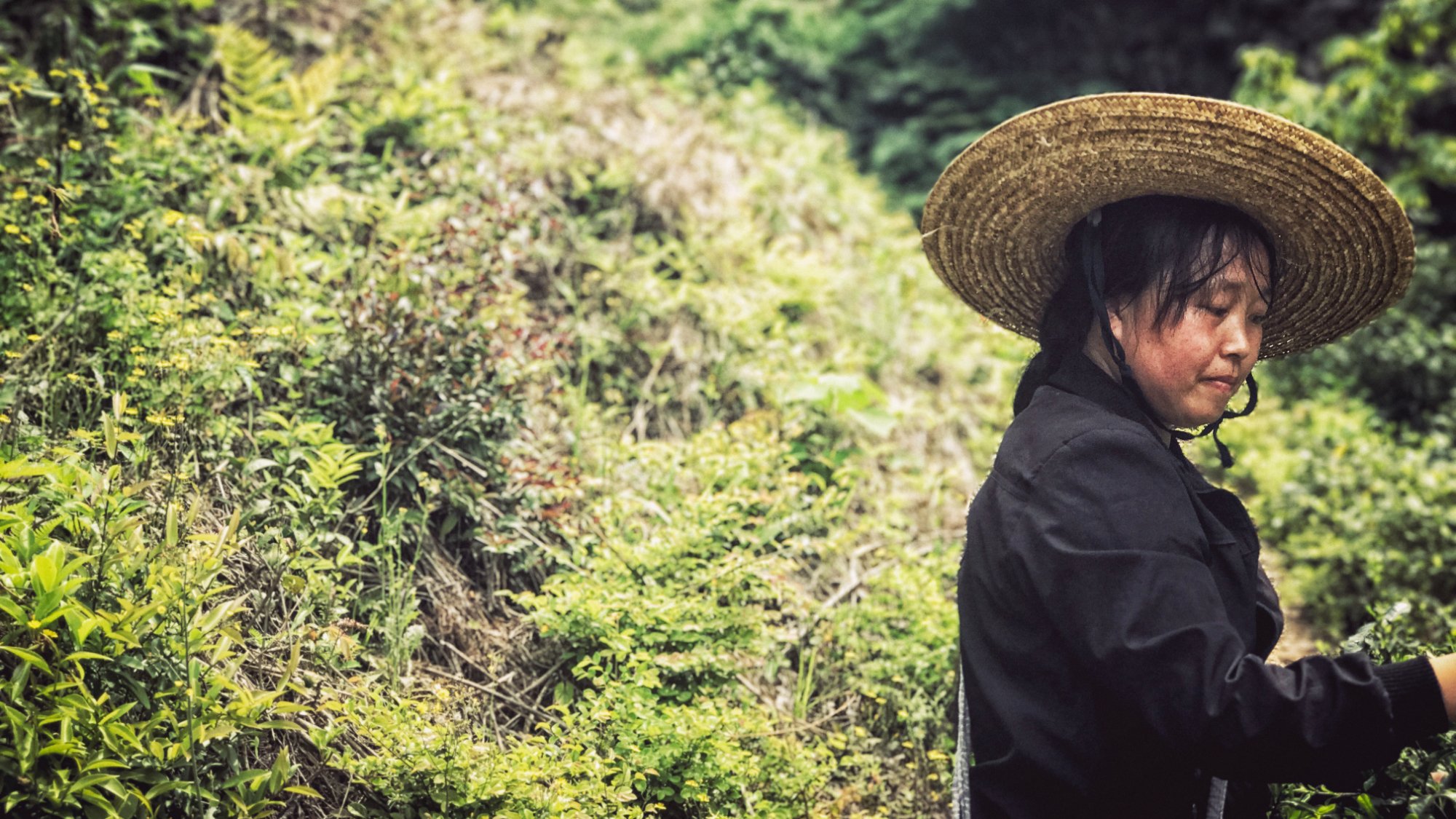 Wildhomestay-浴室