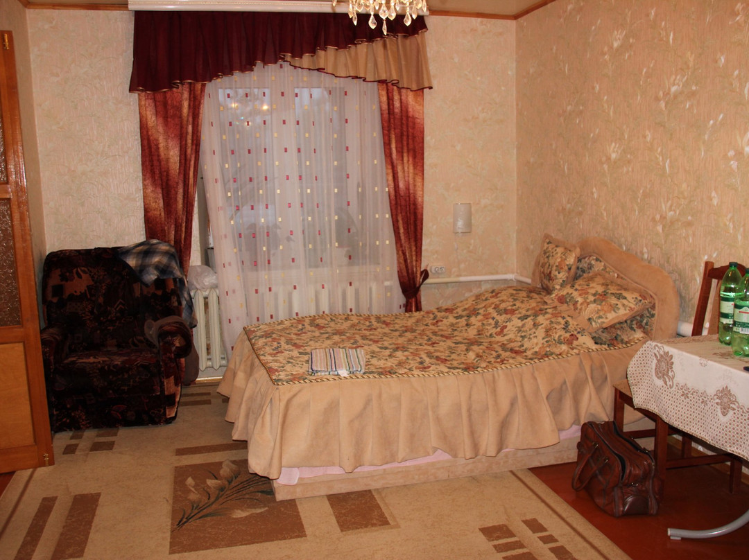 Seltso酒店住宿-高斯特浮尔多姆萨卡罗维克酒店