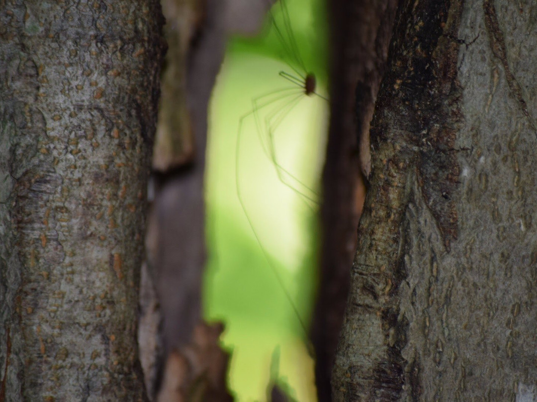 Arcadia Management Area-Hopkinton必去景点
