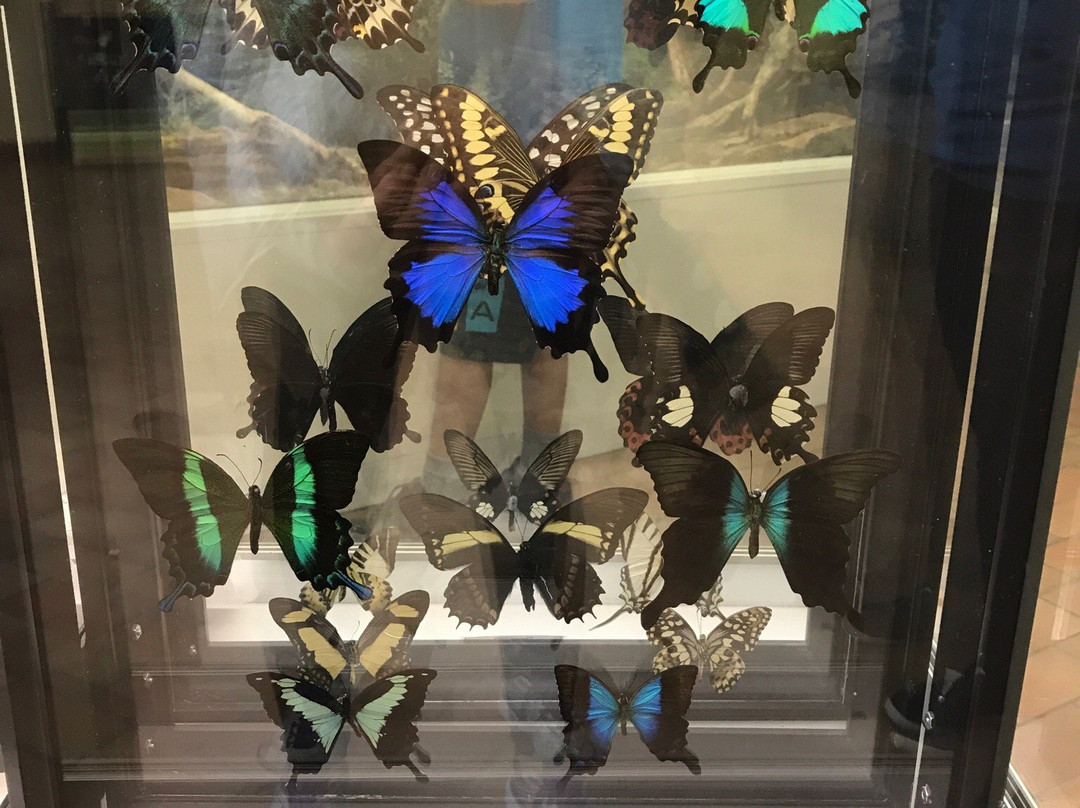 Museum of Natural Sciences-萨斯卡通必去景点