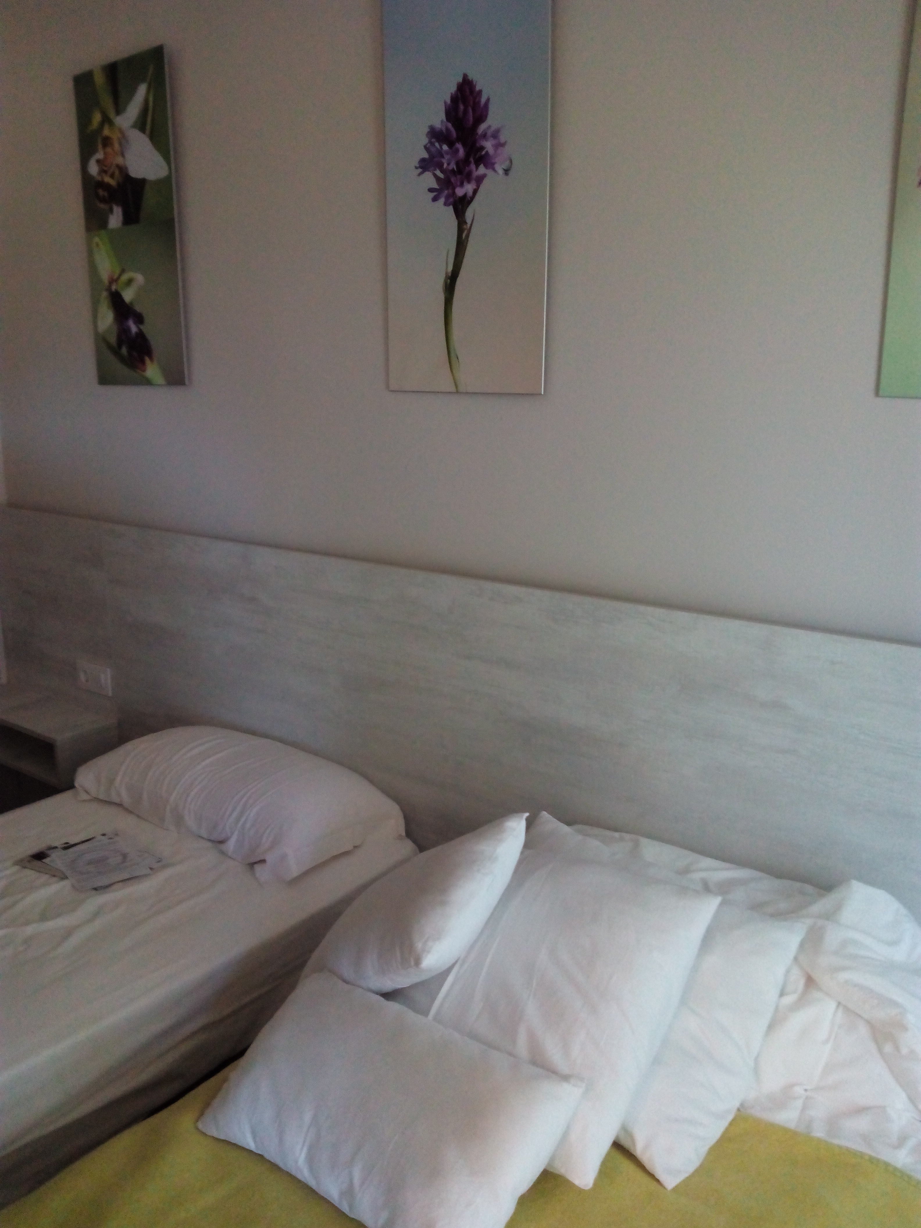 Hotel Restaurante El Pi De Sant Just-官方