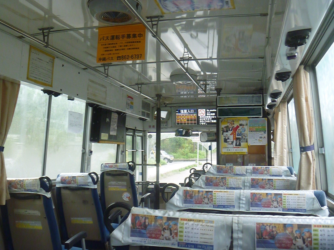 Ryukyu Bus Kotsu景点图片