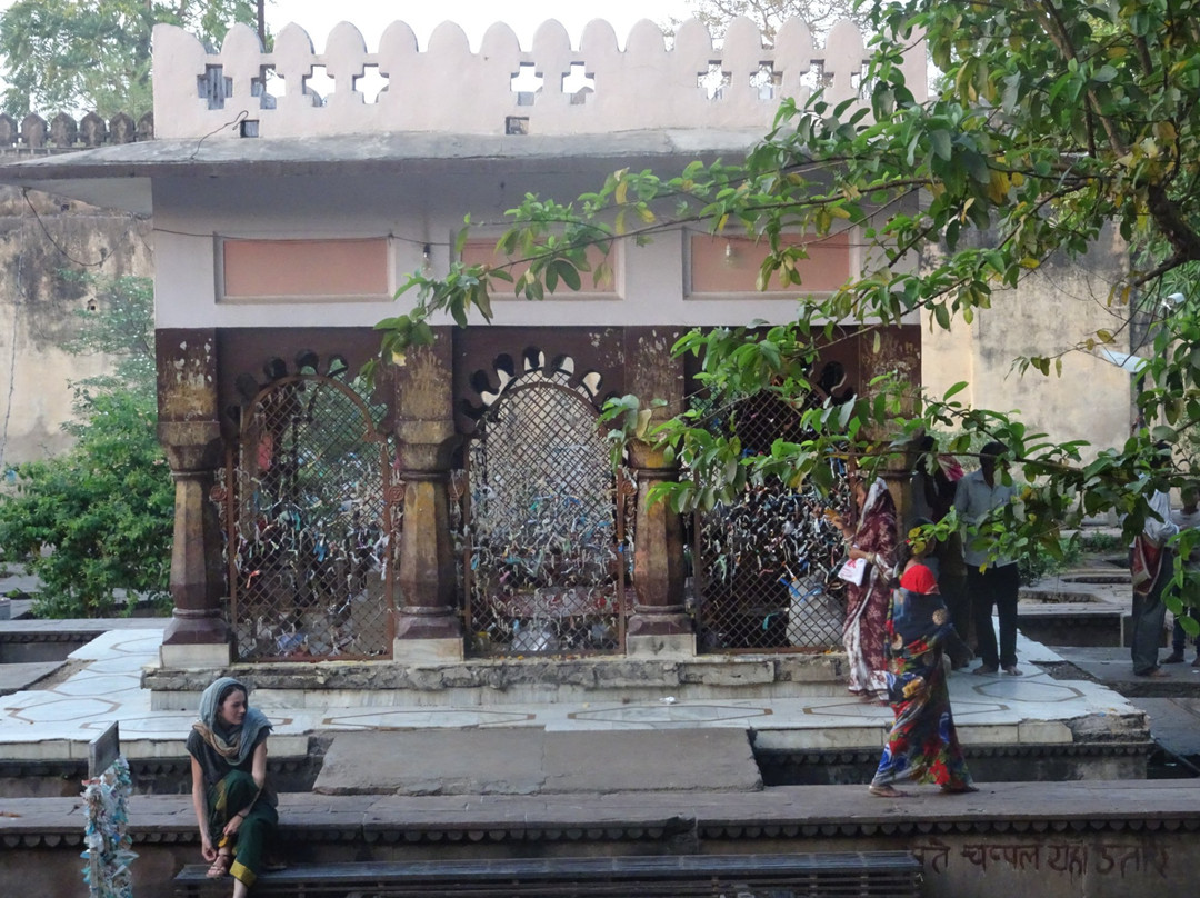 Dinman Hardaul's Palace景点图片
