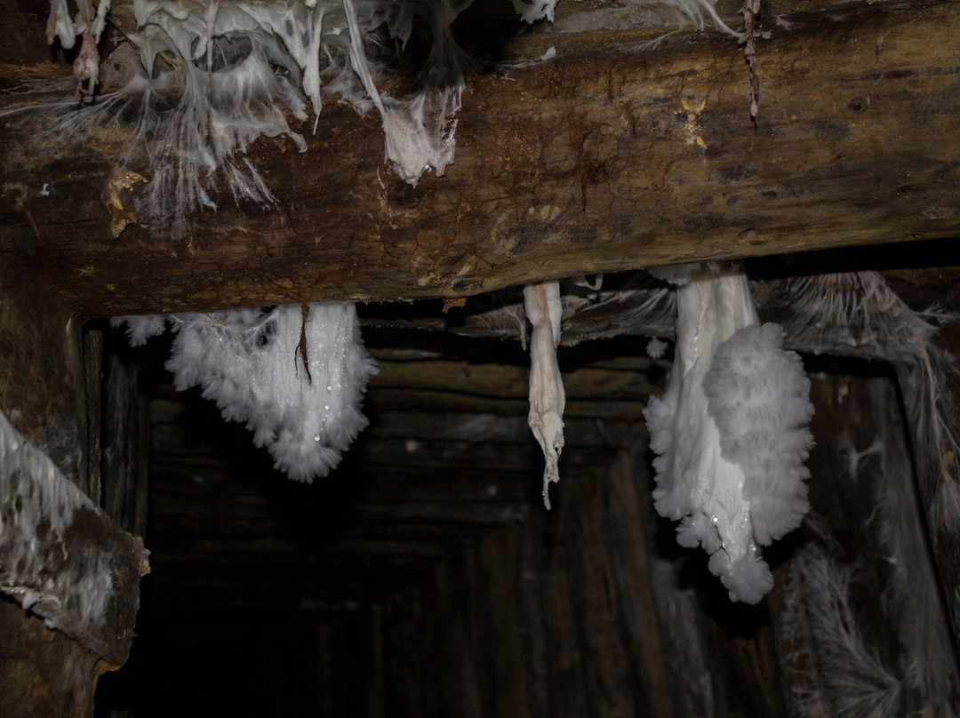 Mining Museum Andrej Adit, Kremnica-Kremnica必去景点