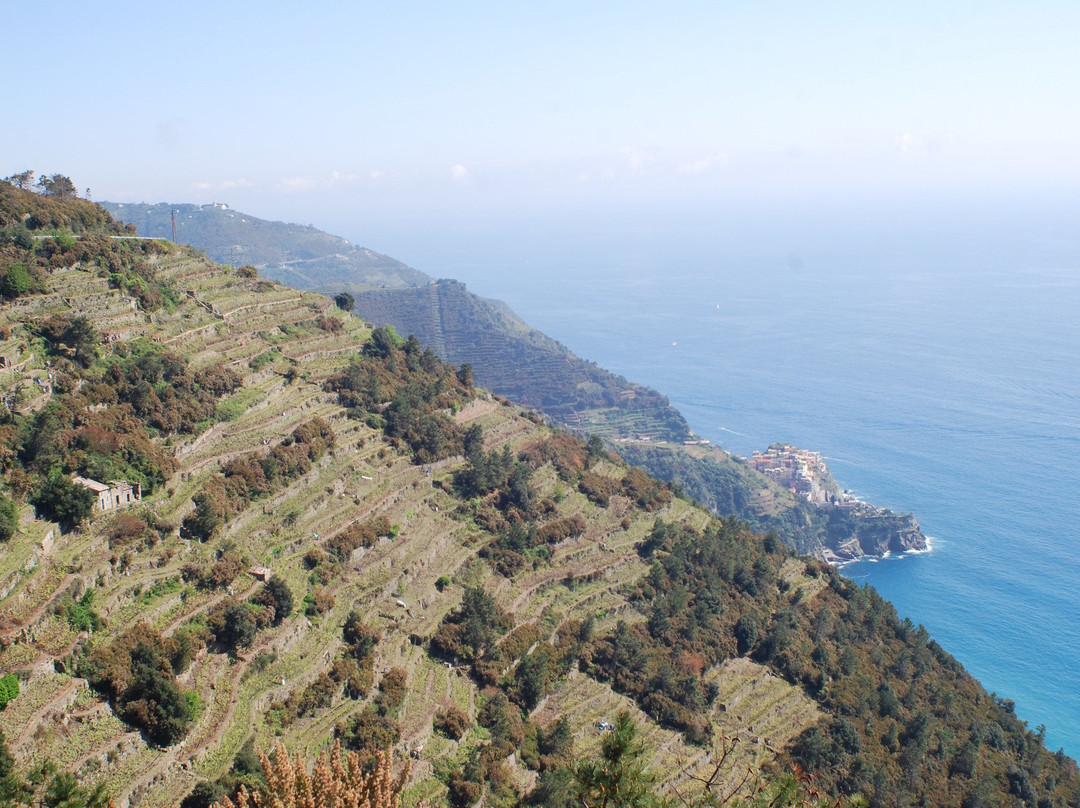 Pako Bike-拉斯佩齐亚必去景点