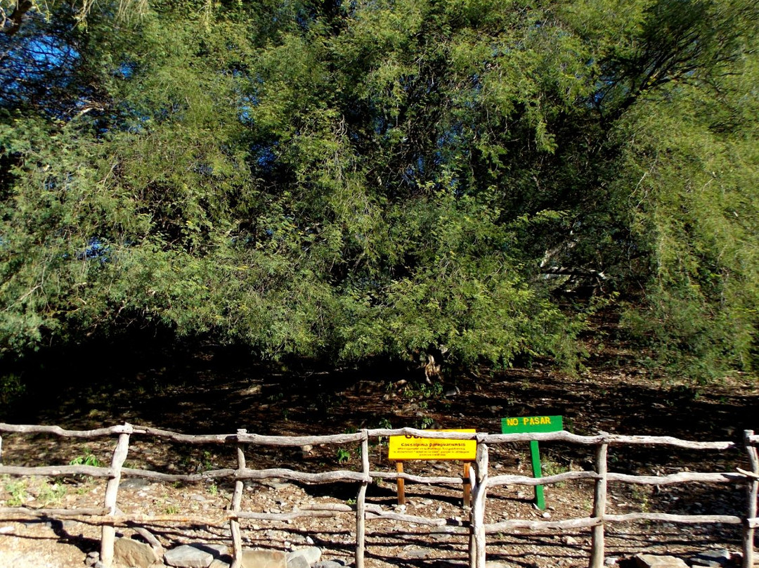 Bajo de Veliz-San Luis必去景点