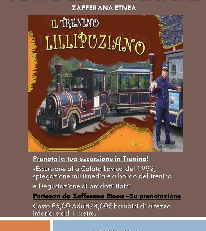 Trenino Turistico景点图片