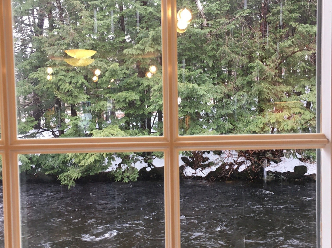 Bowerbird & Friends Antiques-Peterborough必去景点