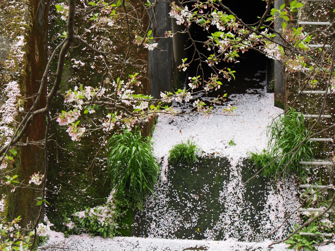 Oi Benten forest-富士见野市必去景点