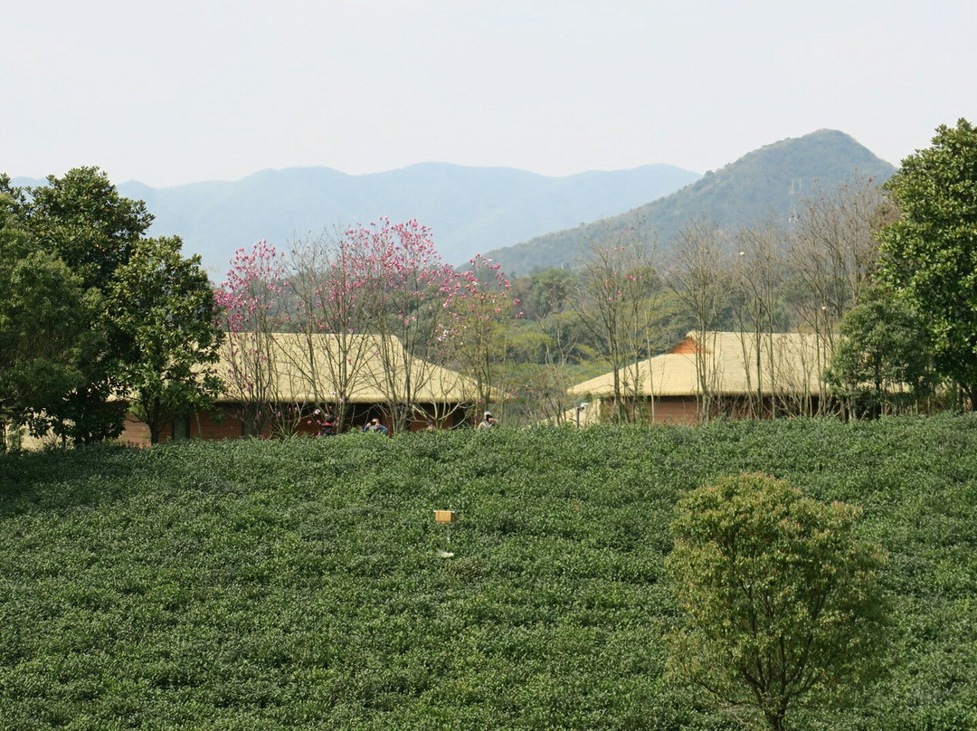 开元芳草地乡村酒店主图