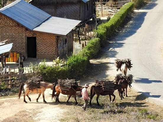 TREKKING AND MOTORBIKE TOURS-Kyaukme必去景点