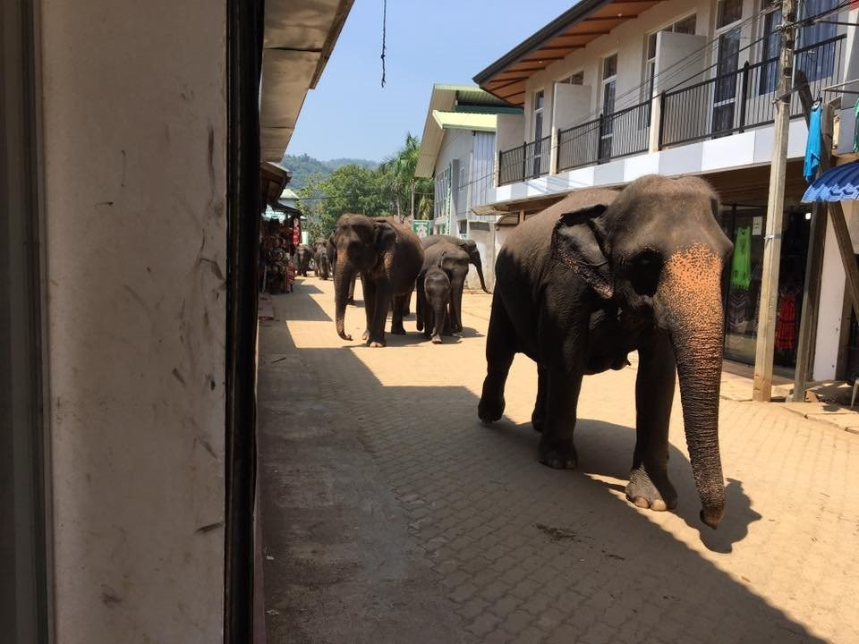 Luv SL-品纳维拉必去景点