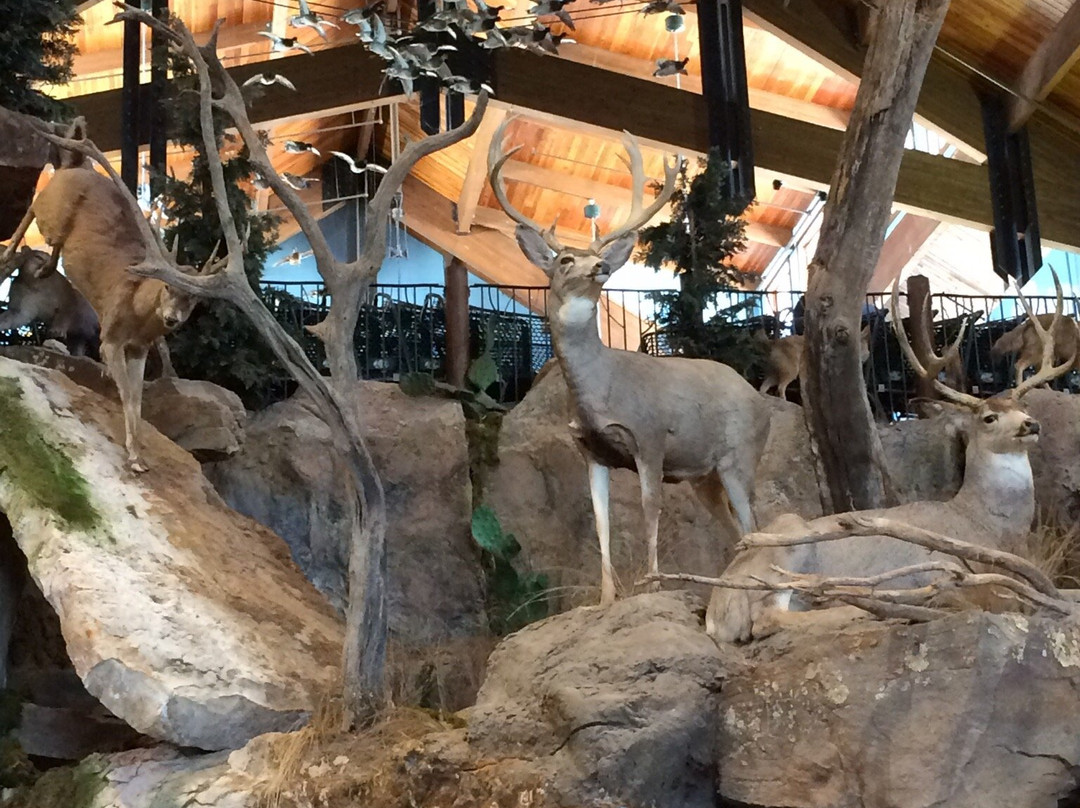 The Rim-圣安东尼奥市必去景点