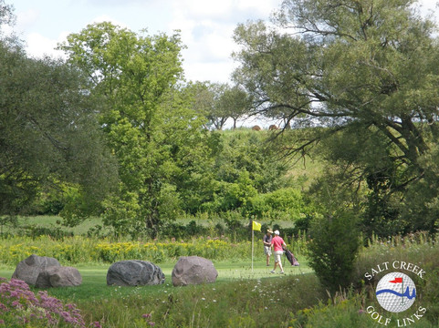 Saltcreek Golf Links-Warkworth必去景点