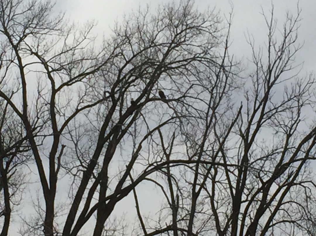 Lake Manawa Beach-康瑟尔布拉夫斯必去景点