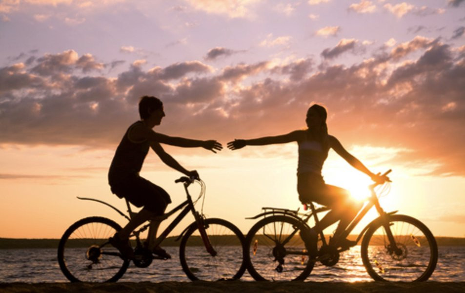 Coffin Bay Boat, Water & Bike Hire景点图片