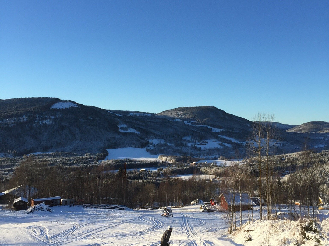 Hurdal Skisenter景点图片