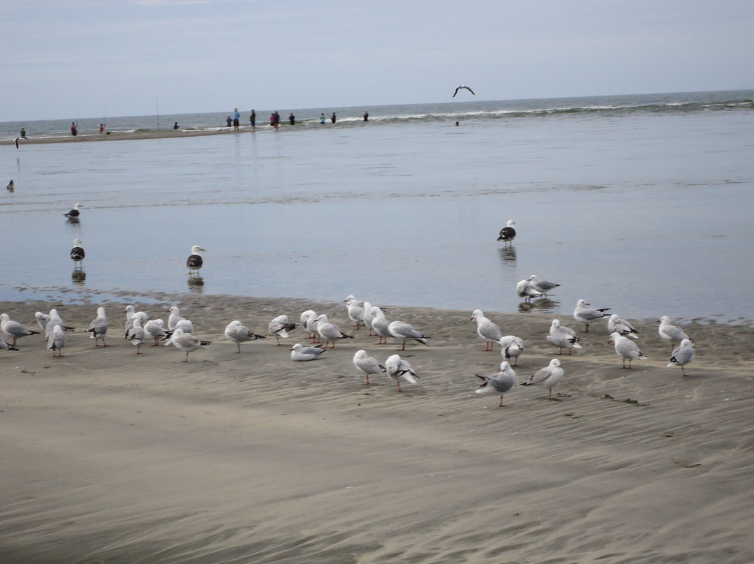 Thornton Beach景点图片