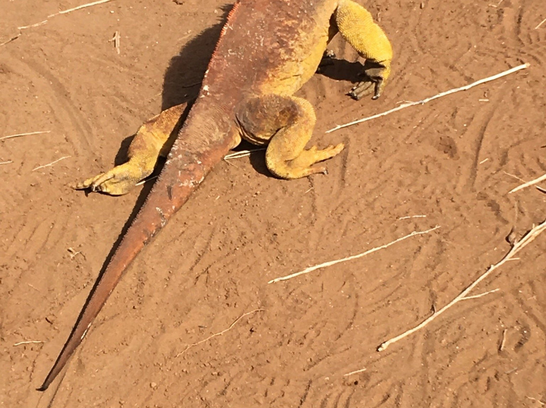 Galapagos Real Voyage-皮钦查省 圣安东尼奥镇必去景点