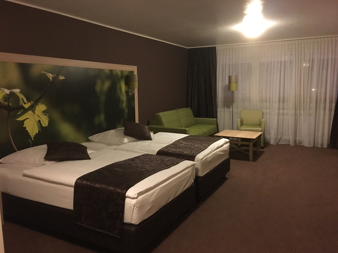 蒙蒂阿尔酒店主图