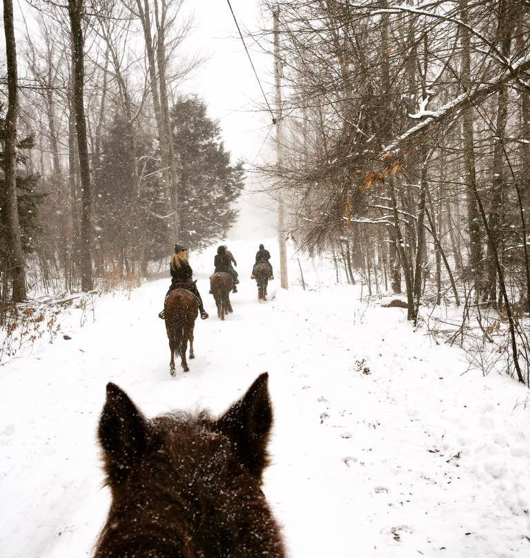 Rough Riders Ranch-East Jewett必去景点