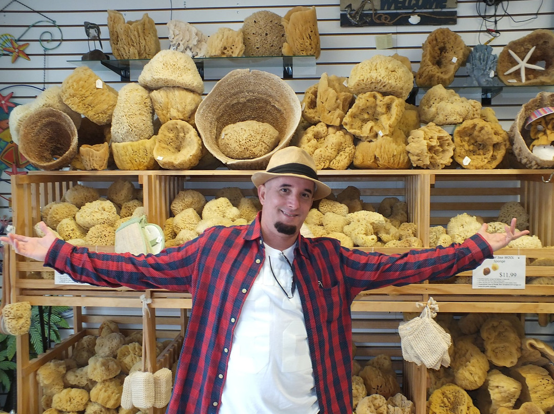 Wine at the Docks-塔彭斯普林斯必去景点