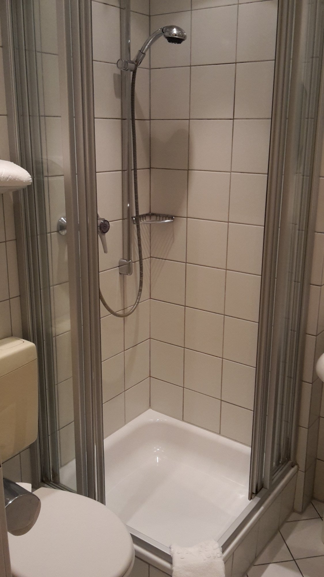 Ambient Hotel Zum Schwan-浴室