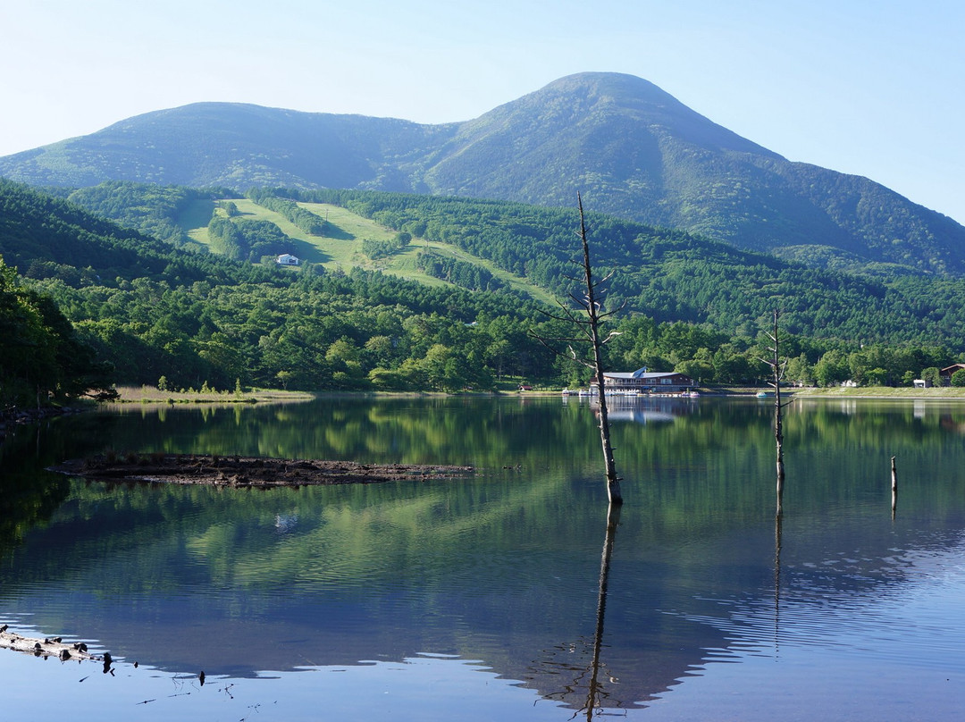 Hotel Du Miroir主图