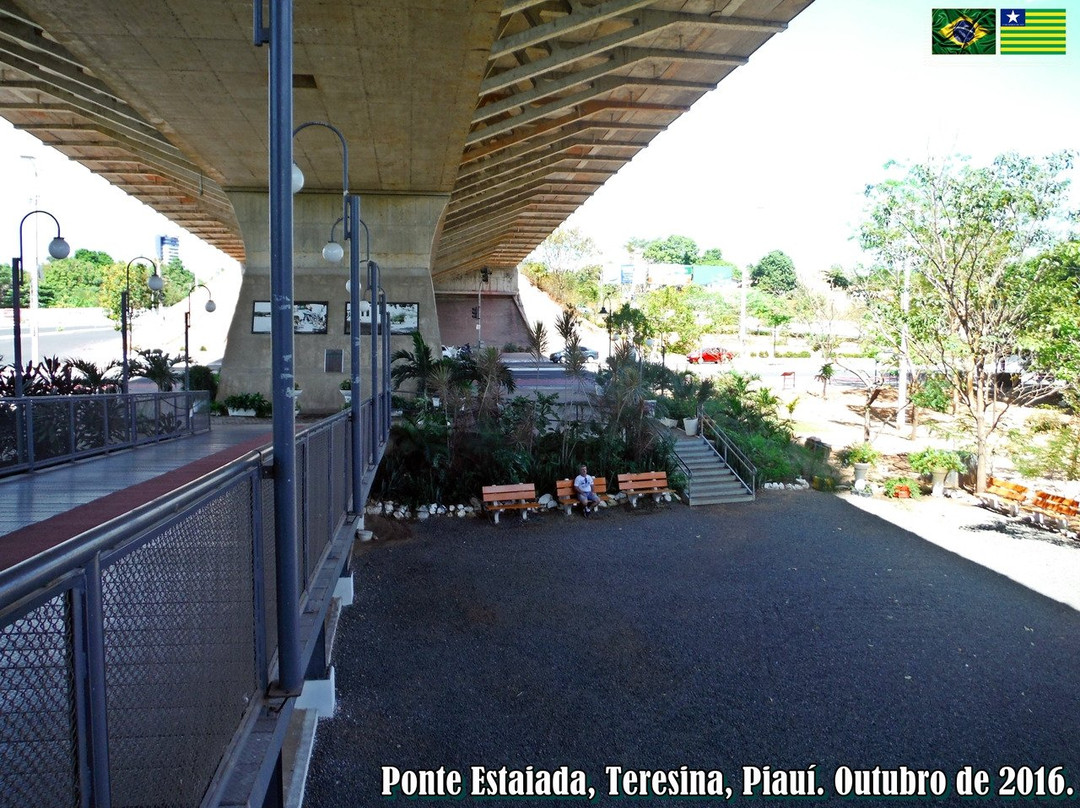 Complexo Turistico da Ponte Estaiada景点图片