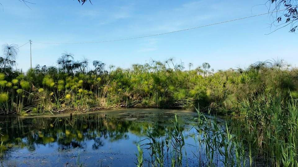 Fontane Bianche旅游景点-Riserva Naturale fiume Ciane