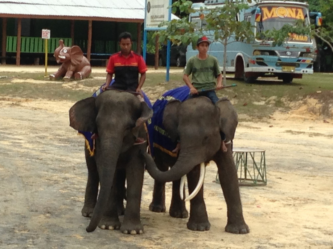 Minas Elephant Training Centre-北干巴鲁必去景点