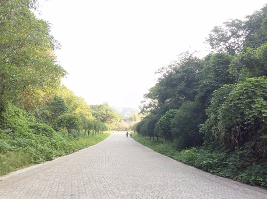 常山县旅游攻略图片