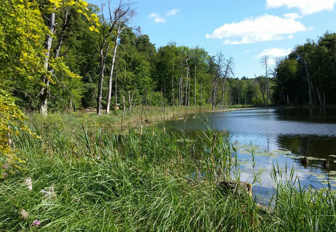 Klausdorf旅游攻略图片