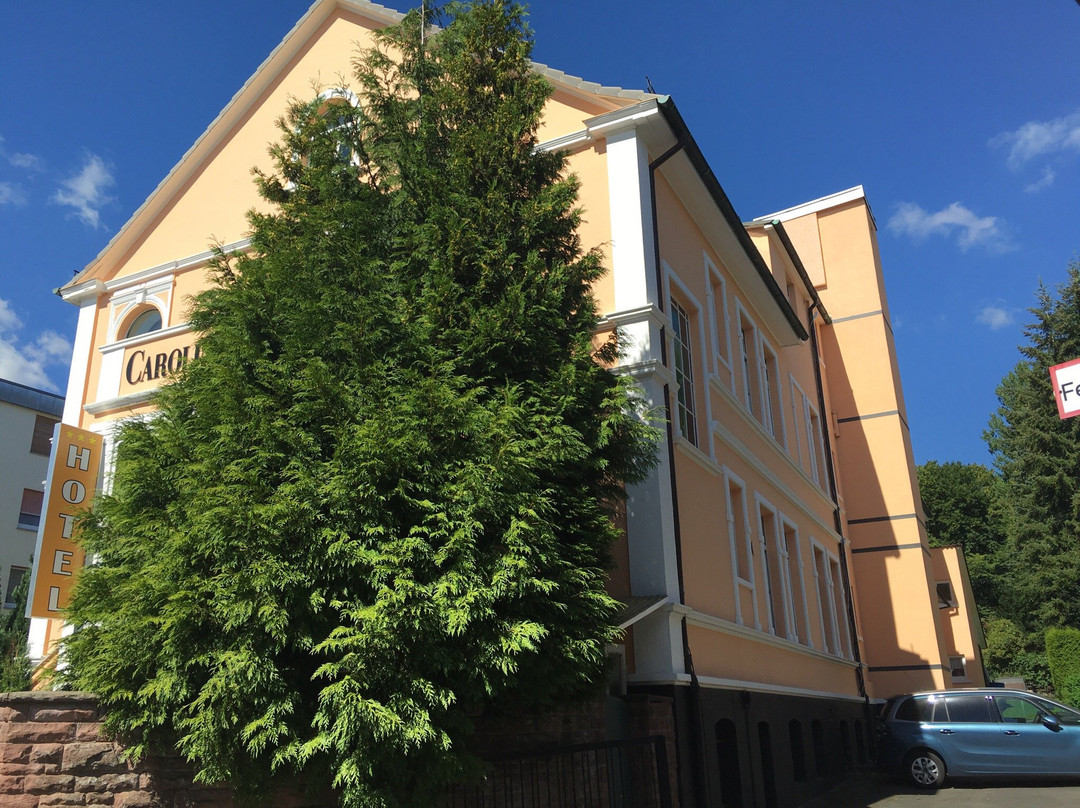 Hotel Carolinenhof主图