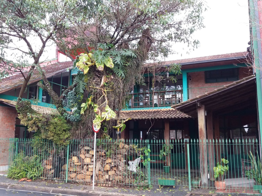 Hotel Formigas na Figueira主图