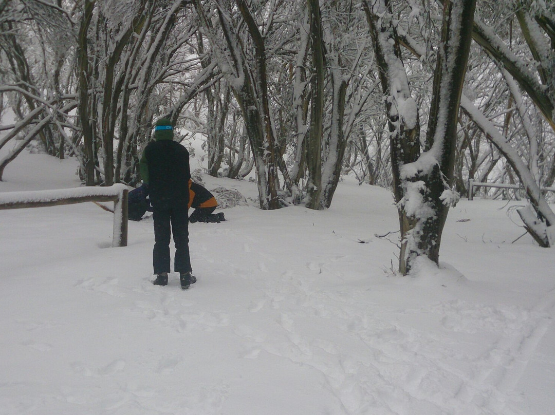 Mount Stirling-Mount Buller必去景点