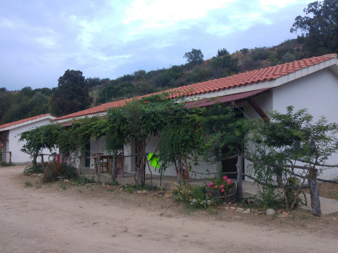 Agriturismo i Bonsai