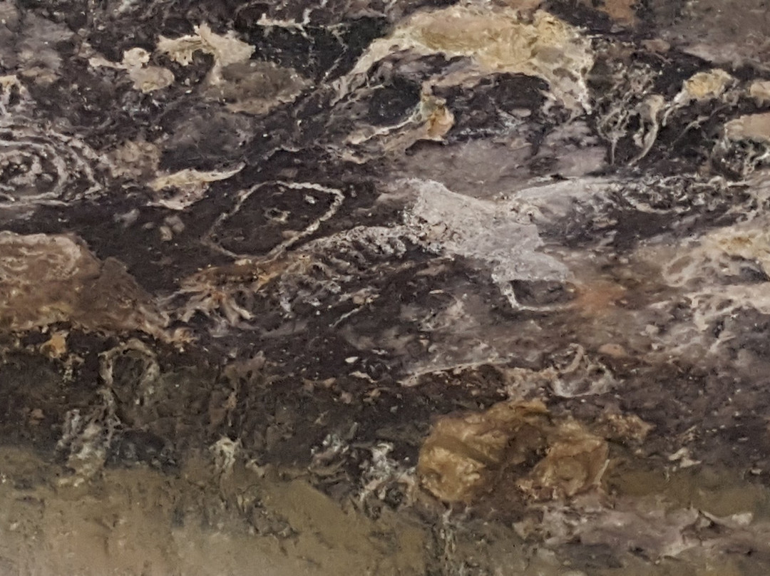 Garden Canyon景点图片