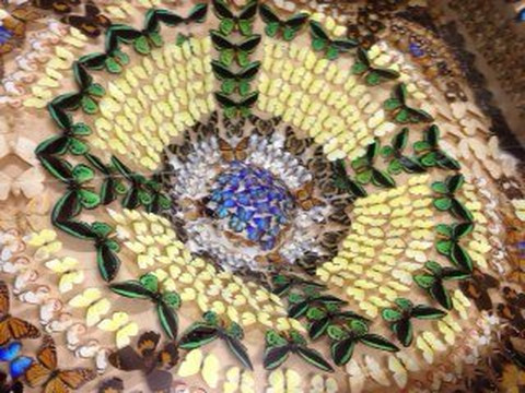 Clare旅游景点-Ayr Nature Display